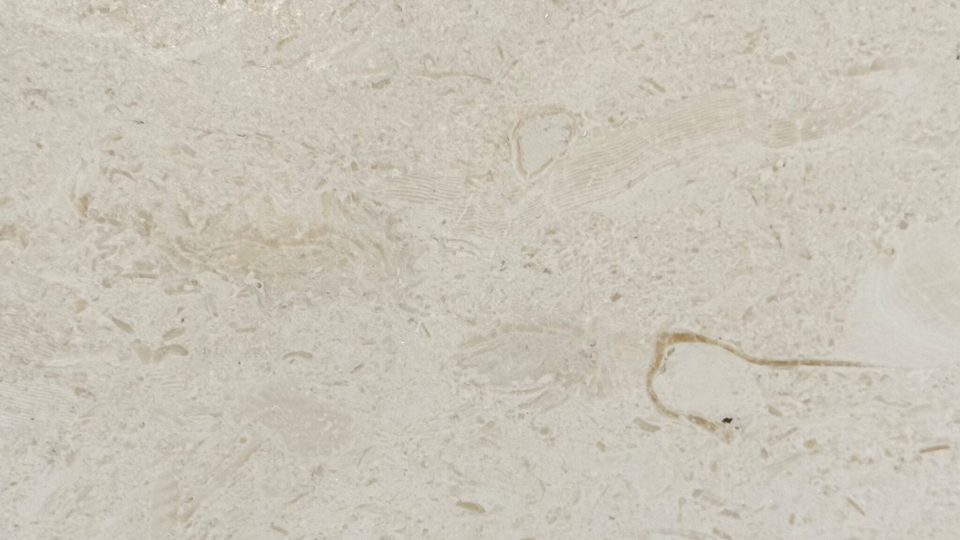 Acorio Limestone Honed