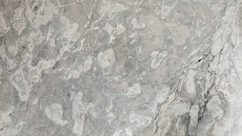 Bianco Alpi Quartzite Slab Sydney