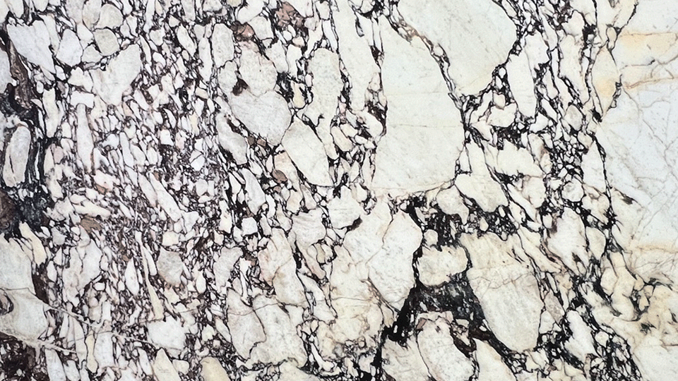 Calacatta Viola Extra Marble Slab